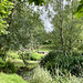 Pond Garden July 2025