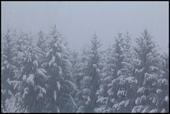 La météo du jour  (2)