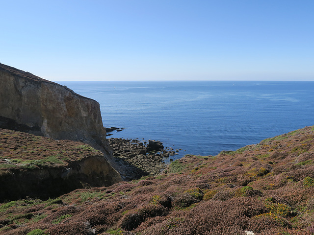 Sur le Tour du Cap de la Chèvre, Rostudel, Crozon (Finistère, France)