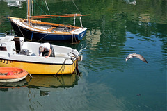 reflets du matin et retour de pêche