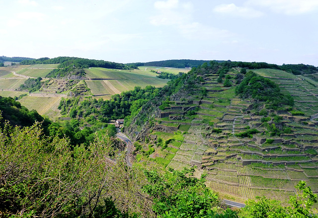 Blick von der Katzenley