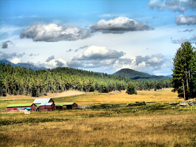 in the black hills of South Dakota