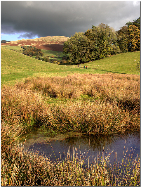 Lune Valley Bog