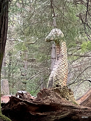 Nessie in the Evanton Woodland