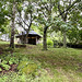 Pond Garden July 2025