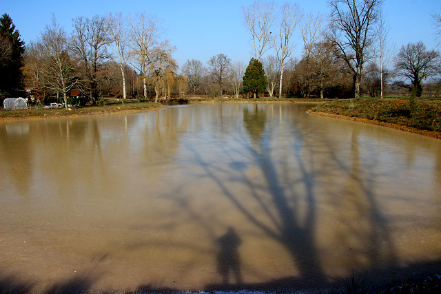 ombres sur l'Etang gelé