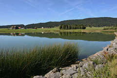 Le lac des Taillères (Jura neuchâtelois)