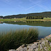 Le lac des Taillères (Jura neuchâtelois)