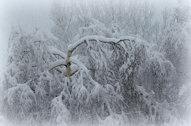 La météo du jour  (3)