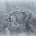 La météo du jour  (3)