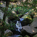 Padley Gorge