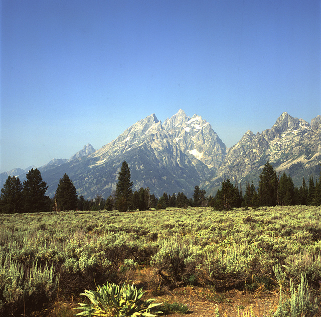 The Grand Tetons