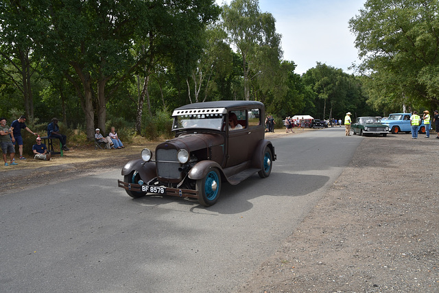 hhbsajul302022 (1084)