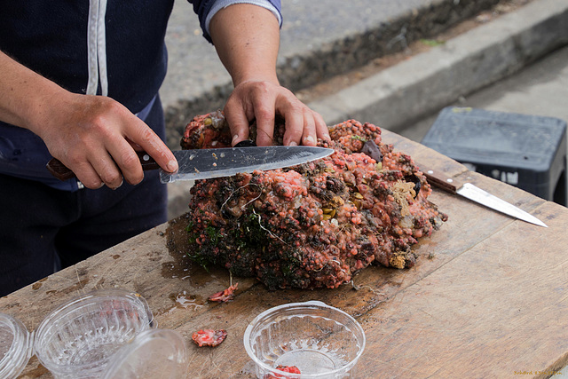 Preparing Seafood (2*PiP)