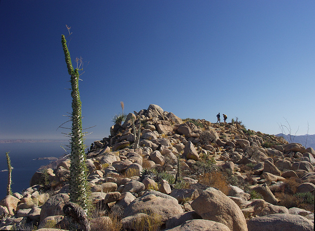 Mike's Mountain