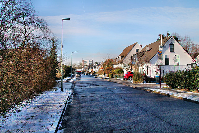 Im Ährenfeld (Duisburg-Huckingen) / 20.01.2024