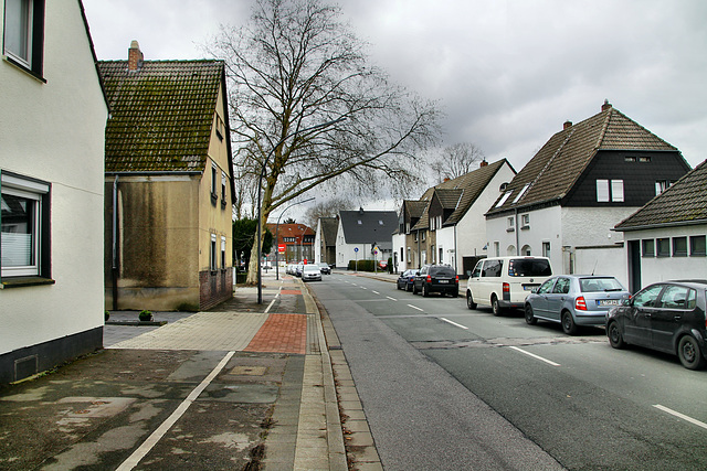 Valentinstraße (Siedlung Hassel, Gelsenkirchen-Hassel) / 9.03.2019