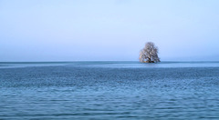 Île de Peilz,  Villeneuve.