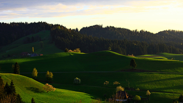 Emmentaler Hügel in der Abendsonne (© Pipo63)