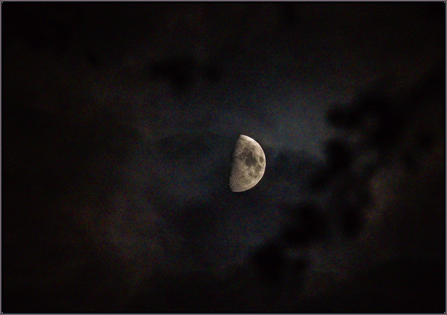 Growing moon, scudding clouds, baring trees, lots of digital noise.