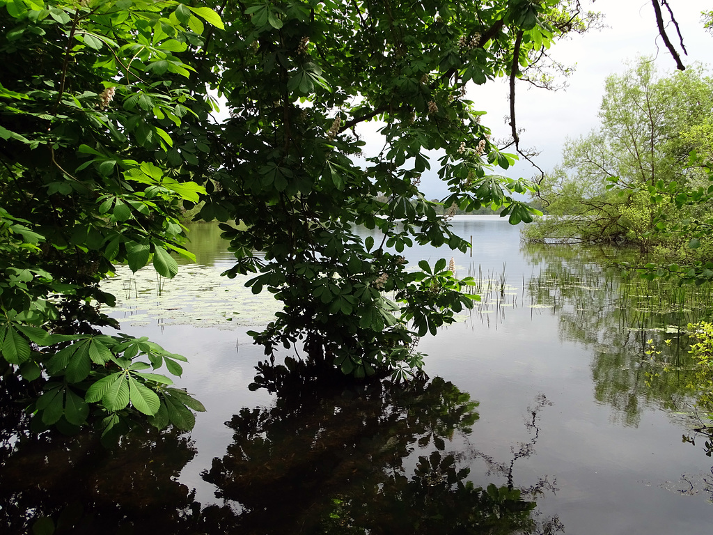 Walking around Ellesmere