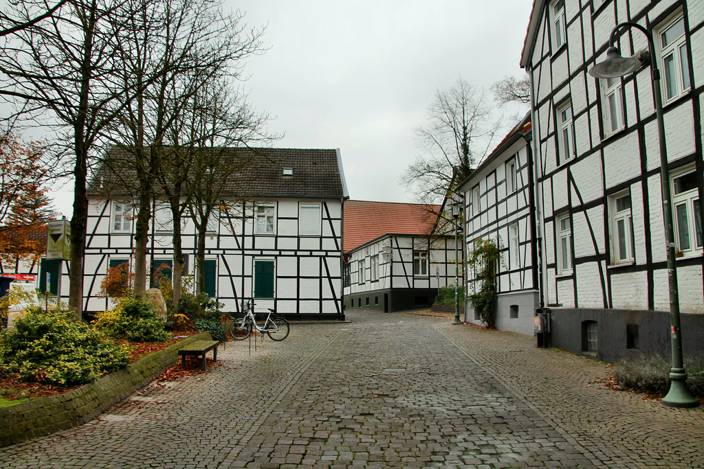 Bissenkamp mit Fachwerkhäusern (Waltrop) / 17.11.2019