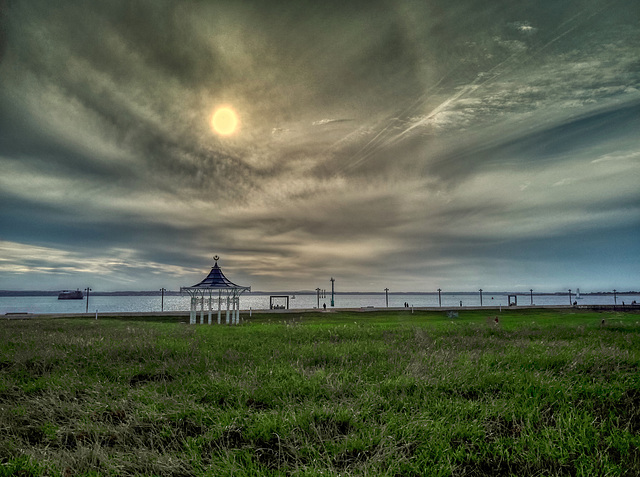 Grass and Sky