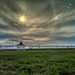 Grass and Sky