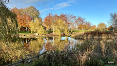 Autumn colours