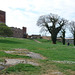 Burgruine Hammershus, Bornholm