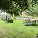 Pond Garden July 2025