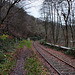 Ruhrtalbahn, Museumsbahnsteig "Ruine Hardenstein" (Witten-Vormholz) / 10.12.2024