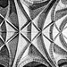 Gothic ceiling