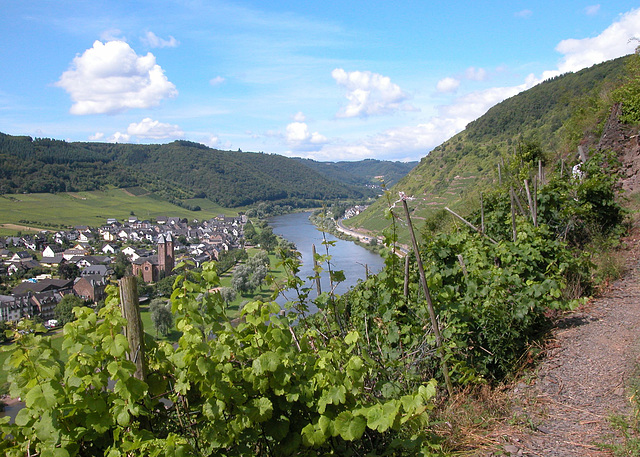 Blick auf Ernst...