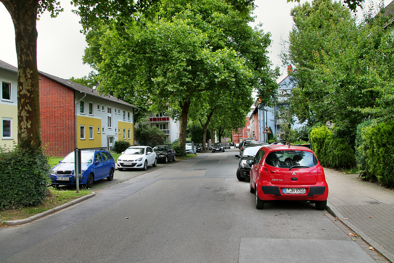 Drostenbusch (Essen-Stoppenberg) / 16.06.2018