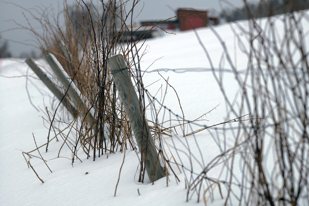 Tromsø area, HFF