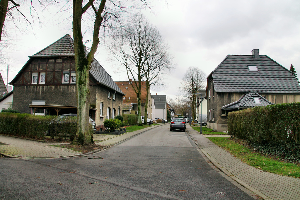 Helenenweg (Siedlung Hassel, Gelsenkirchen-Hassel) / 9.03.2019