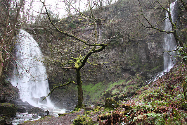 Melincourt Waterfall