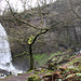 Melincourt Waterfall