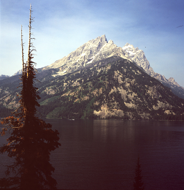 The Grand Tetons