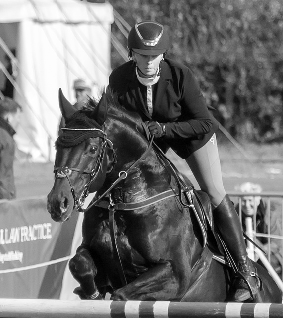 The Westmorland County Show