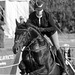 The Westmorland County Show