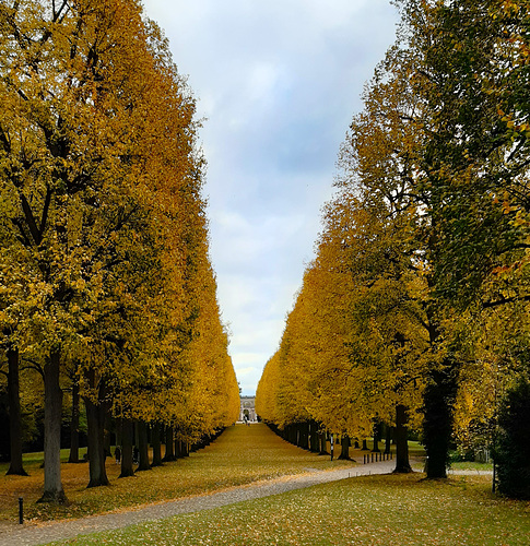 herbstliche Grüße