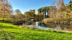 Autumn colours