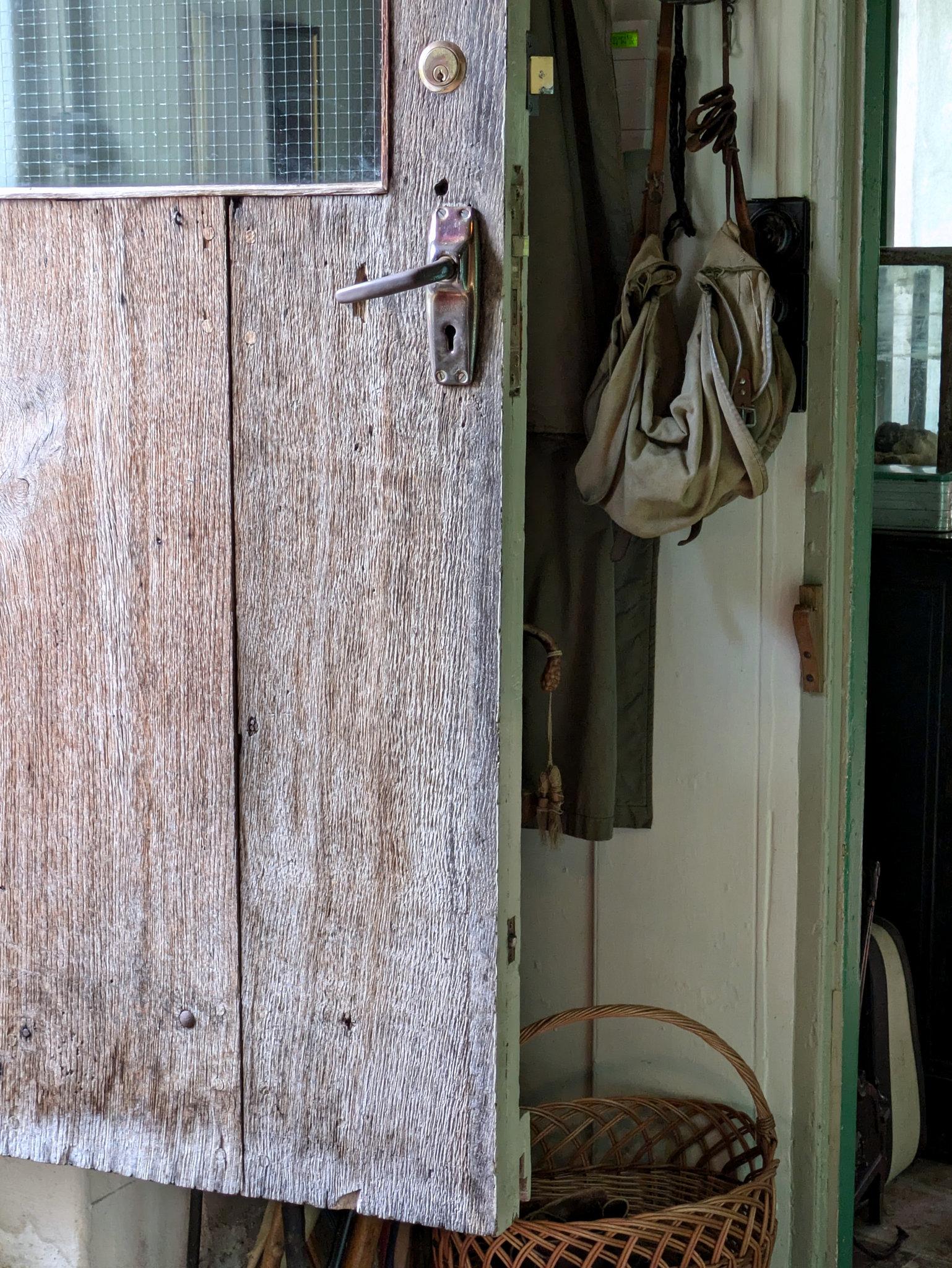 PXL 20241004 115243210-001-Back Door