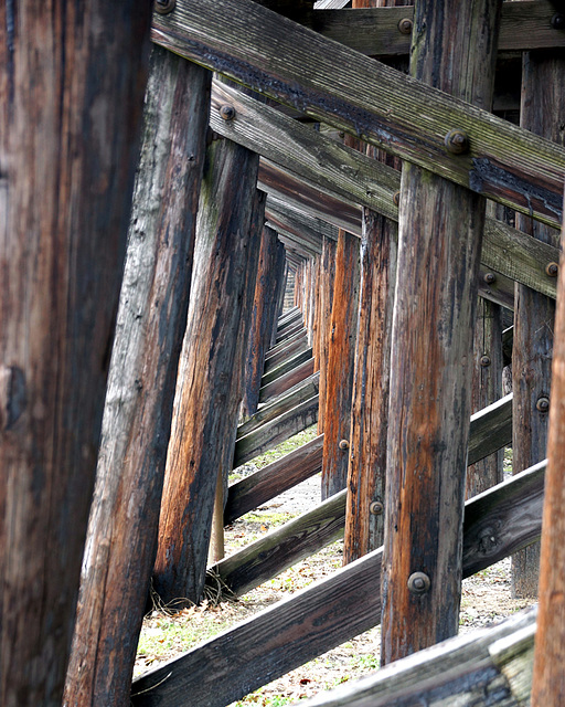 Under the Trestle