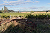 HFF - Das südlichste Weingut Chiles (PiP)