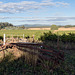 HFF - Das südlichste Weingut Chiles (PiP)