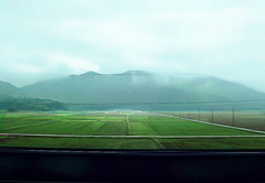 Farms from a train