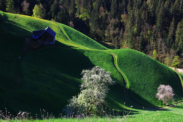 Emmental's grüne Hügel (© Pipo63)